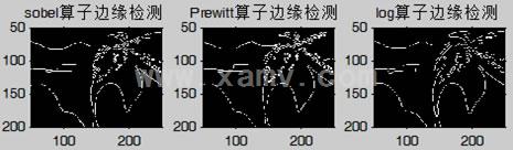 matlab图像处理